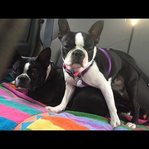 Meet your Posher, Christi